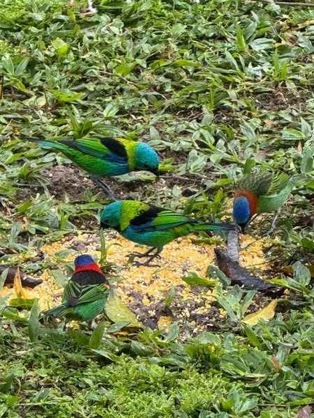 Imóvel rural que conecta você à Natureza e à tranquilidade,em IndaiaL: 34ª foto da galeria de imagens do imóvel