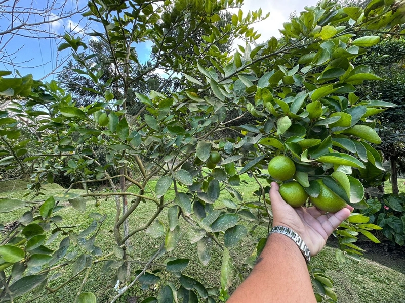 Imóvel rural que conecta você à Natureza e à tranquilidade,em IndaiaL: 25ª foto da galeria de imagens do imóvel