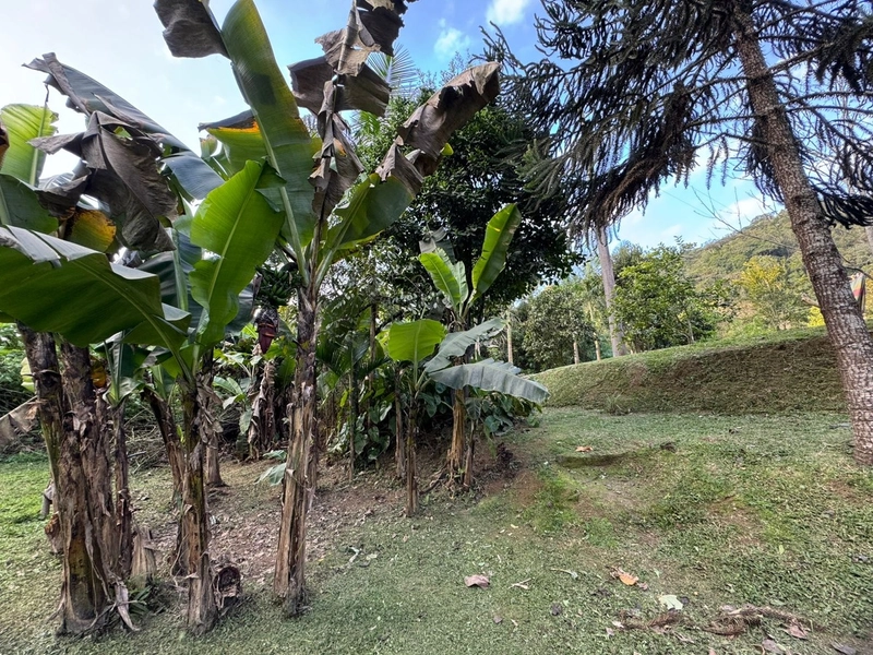 Imóvel rural que conecta você à Natureza e à tranquilidade,em IndaiaL: 26ª foto da galeria de imagens do imóvel