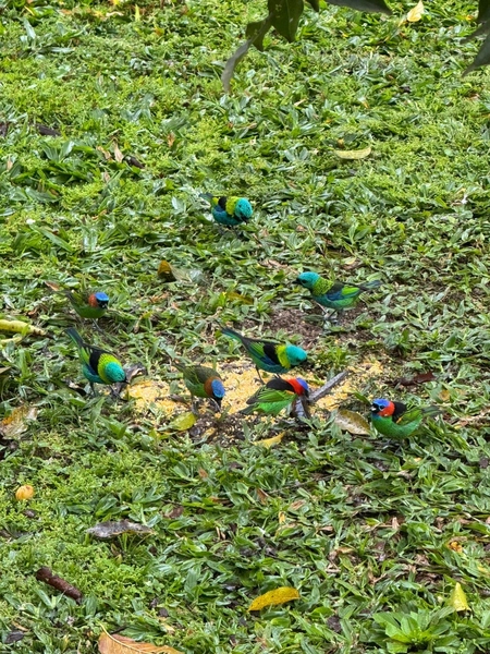 Imóvel rural que conecta você à Natureza e à tranquilidade,em IndaiaL: 36ª foto da galeria de imagens do imóvel