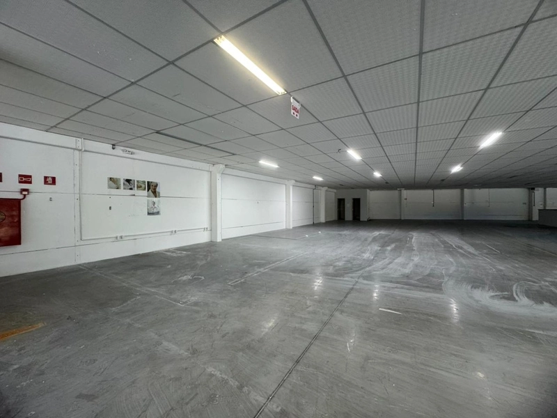 EXCLUSIVO: 1.260m²,piso superior, excelente espaço e localização!!: 11ª foto da galeria de imagens do imóvel