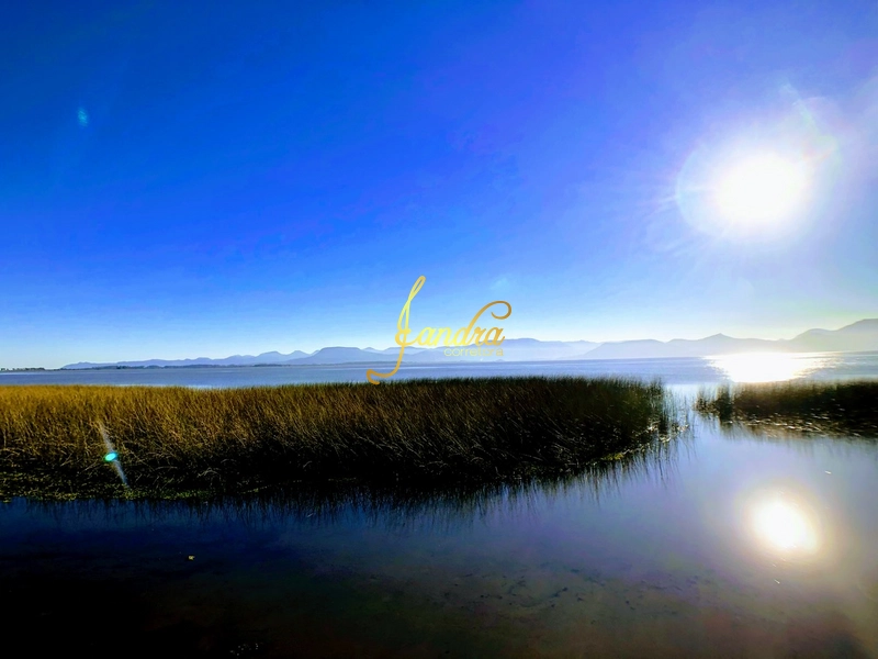 lote vista eterna Lagoa: 8ª foto da galeria de imagens do imóvel