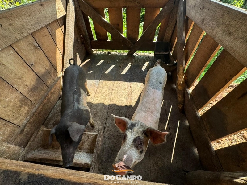 : 20ª foto da galeria de imagens do imóvel