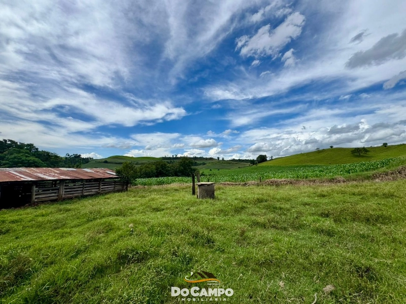 : 17ª foto da galeria de imagens do imóvel