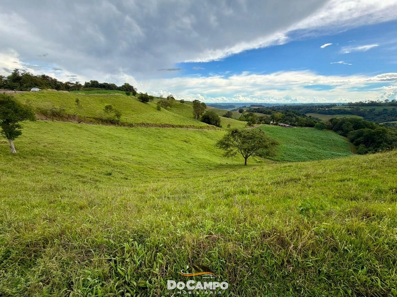 : 22ª foto da galeria de imagens do imóvel