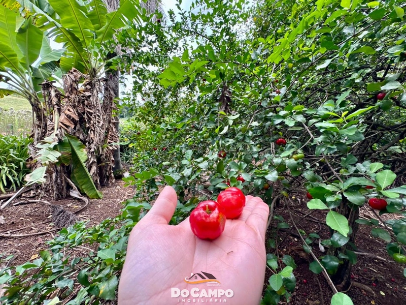 : 6ª foto da galeria de imagens do imóvel