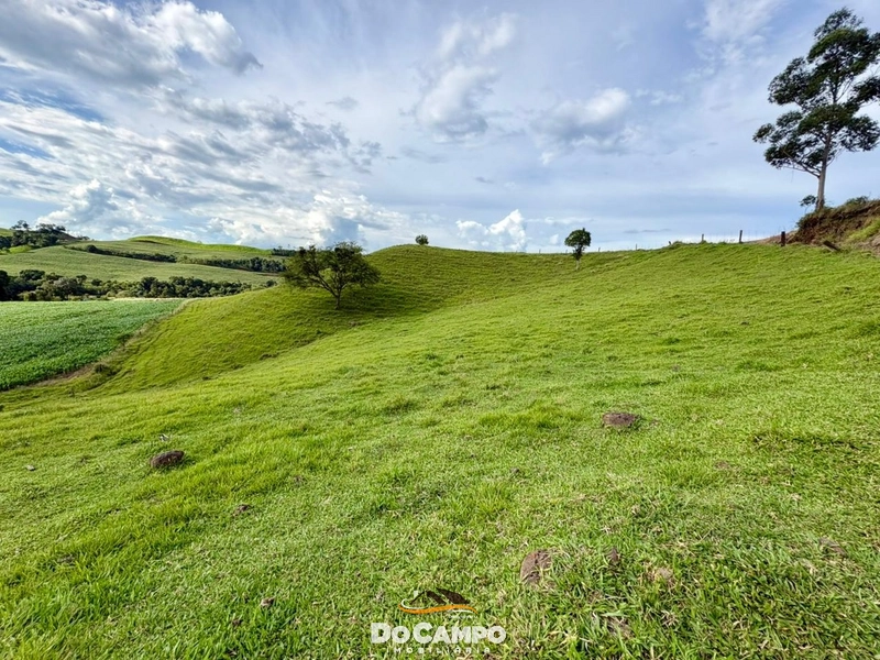 : 25ª foto da galeria de imagens do imóvel