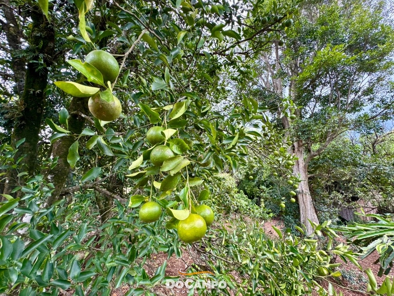 : 8ª foto da galeria de imagens do imóvel