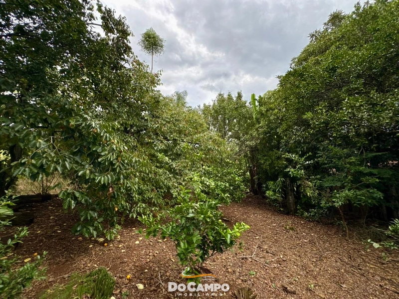 : 12ª foto da galeria de imagens do imóvel