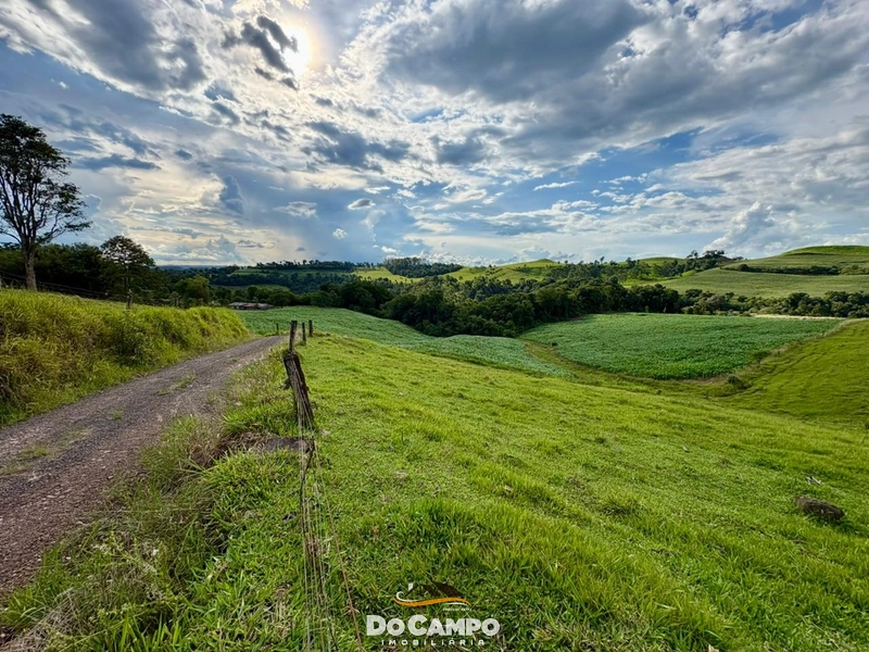 : 29ª foto da galeria de imagens do imóvel