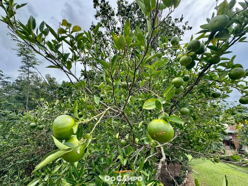 : 7ª foto da galeria de imagens do imóvel