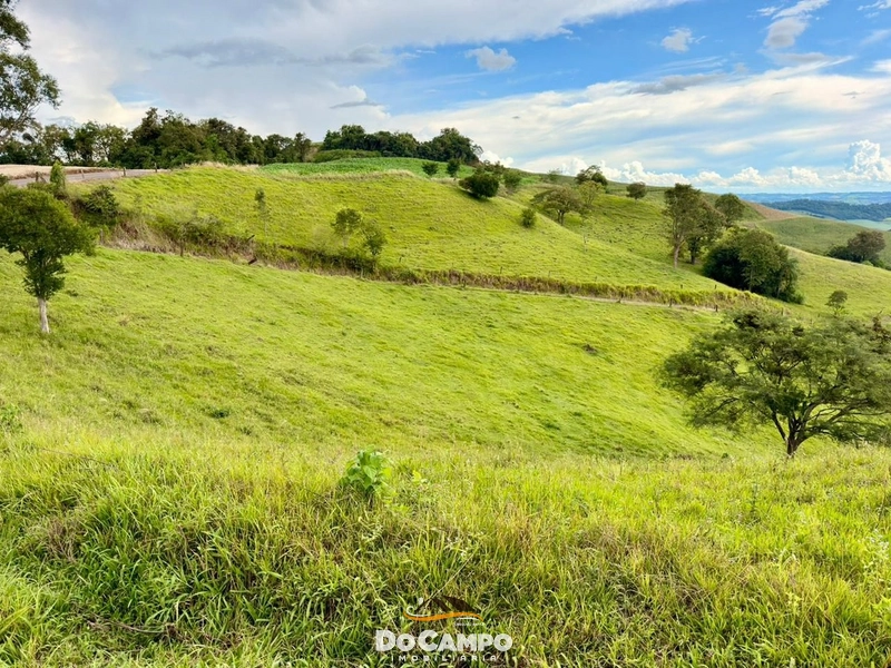 : 24ª foto da galeria de imagens do imóvel