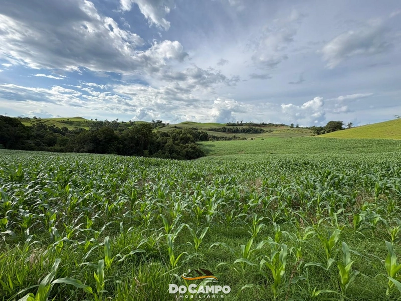 : 18ª foto da galeria de imagens do imóvel
