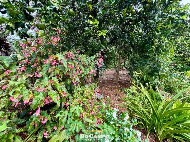 : 11ª foto da galeria de imagens do imóvel