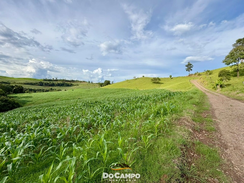 : 19ª foto da galeria de imagens do imóvel
