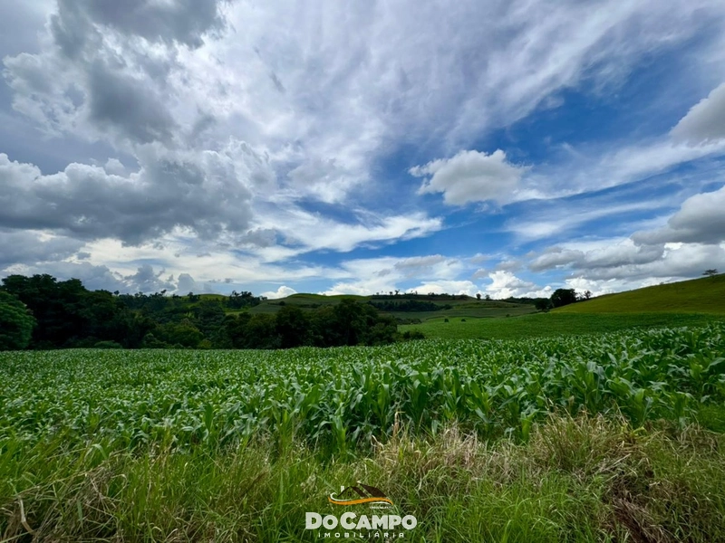 : 20ª foto da galeria de imagens do imóvel