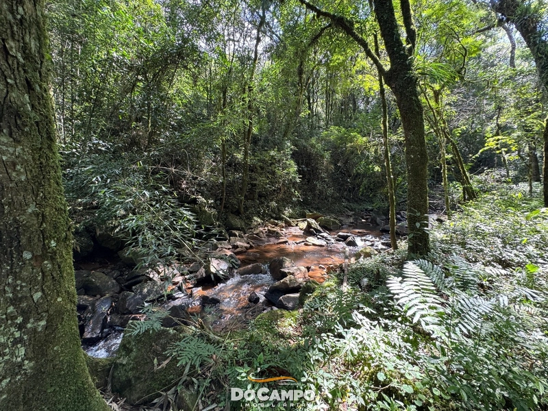 : 37ª foto da galeria de imagens do imóvel