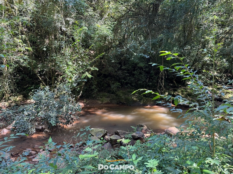 : 35ª foto da galeria de imagens do imóvel