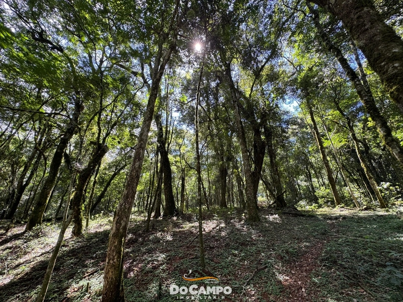 : 34ª foto da galeria de imagens do imóvel