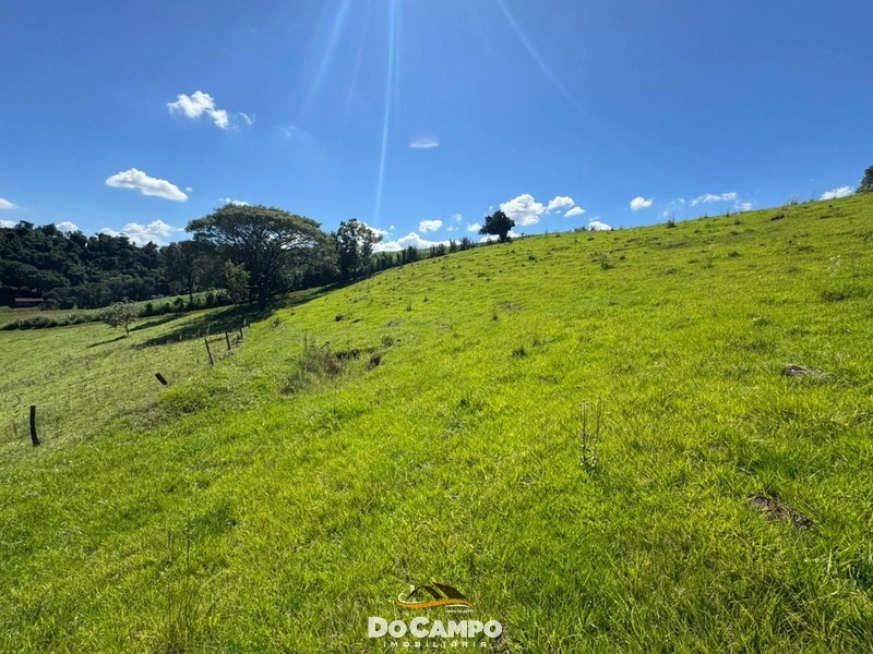 : 15ª foto da galeria de imagens do imóvel