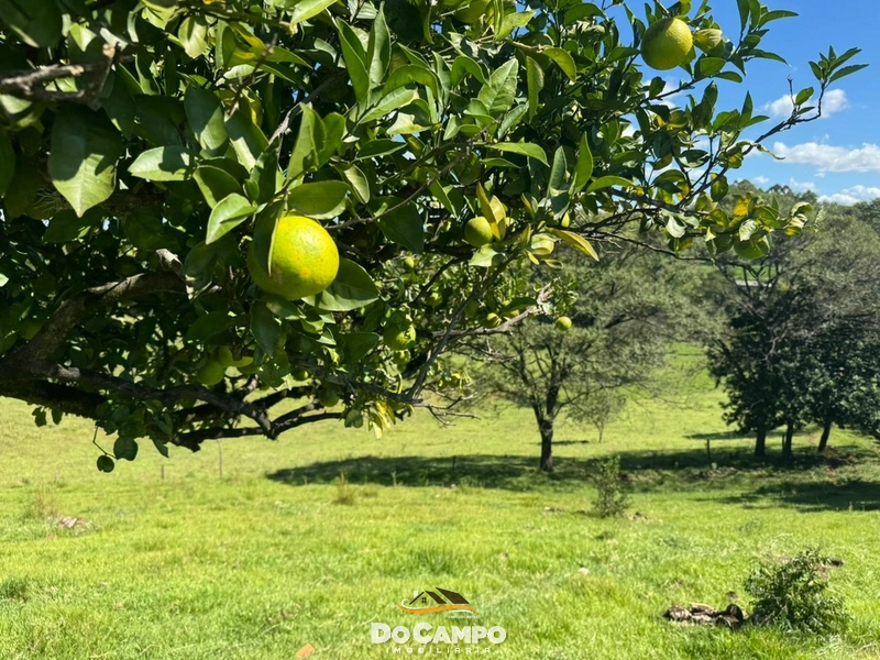 : 10ª foto da galeria de imagens do imóvel