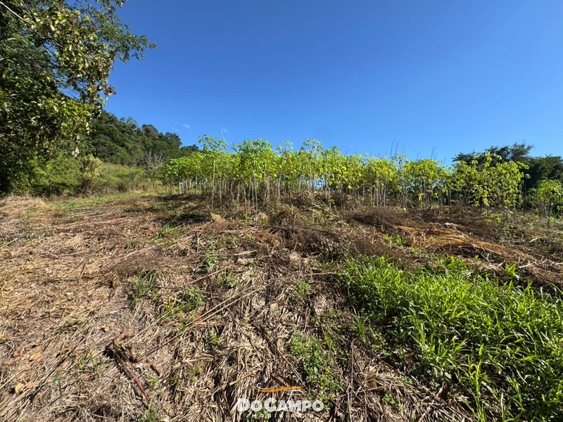 : 35ª foto da galeria de imagens do imóvel