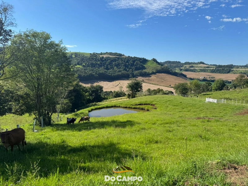 : 10ª foto da galeria de imagens do imóvel