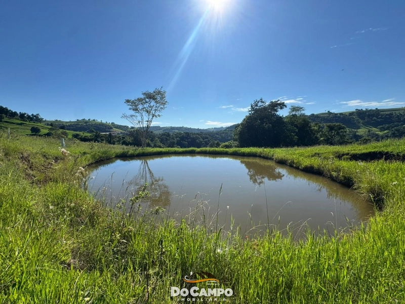 : 12ª foto da galeria de imagens do imóvel