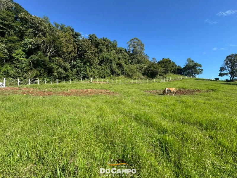 : 15ª foto da galeria de imagens do imóvel