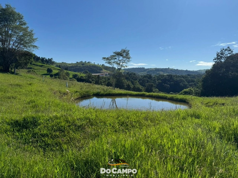 : 11ª foto da galeria de imagens do imóvel