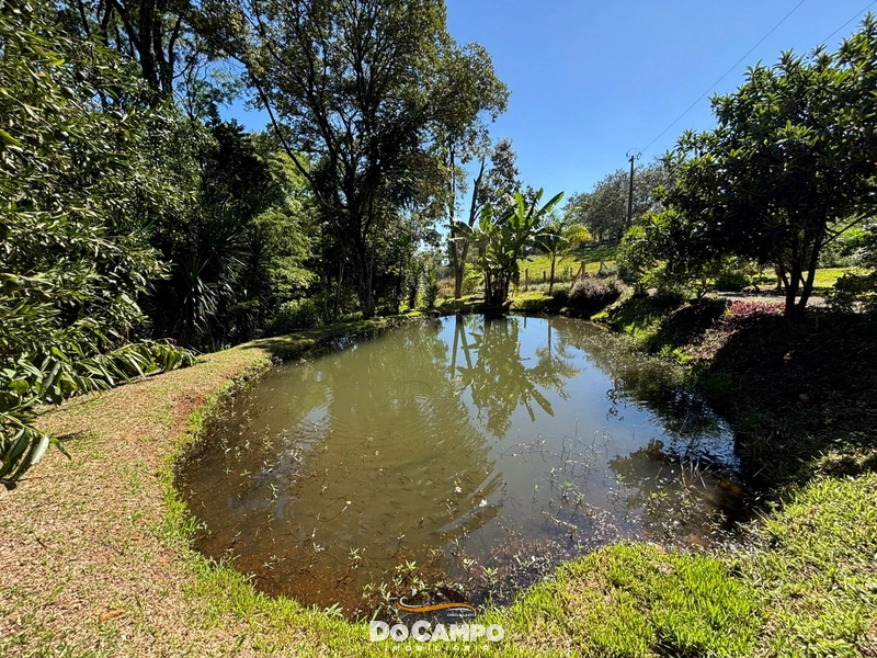 : 11ª foto da galeria de imagens do imóvel