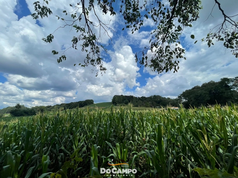 : 4ª foto da galeria de imagens do imóvel