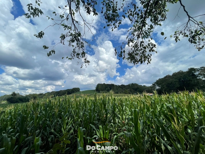 : 3ª foto da galeria de imagens do imóvel