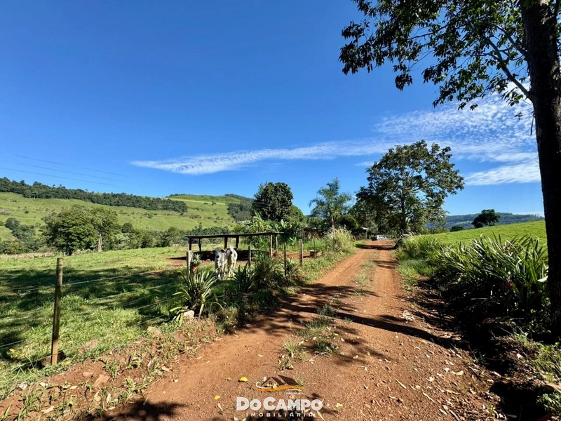 : 11ª foto da galeria de imagens do imóvel