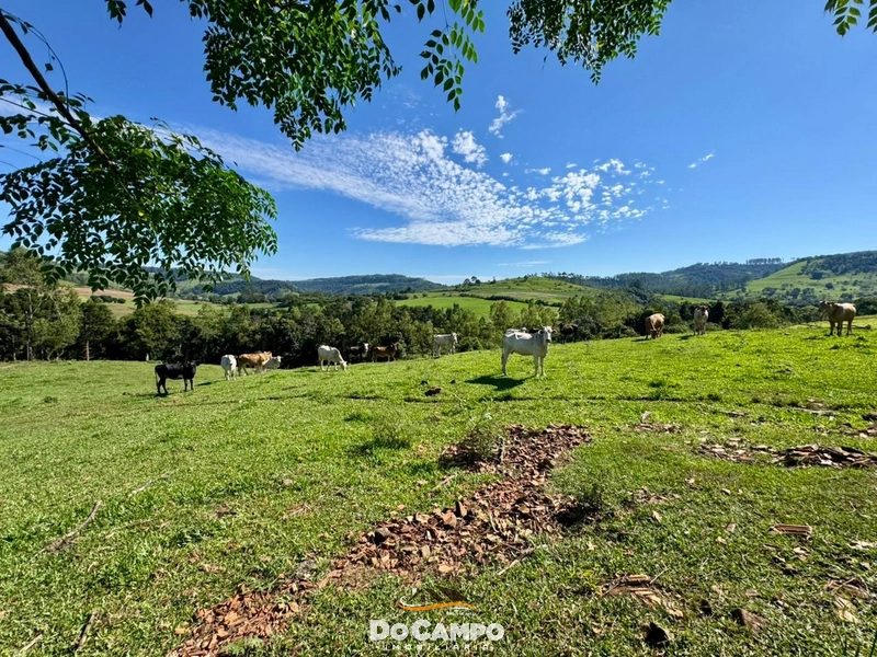 : 22ª foto da galeria de imagens do imóvel