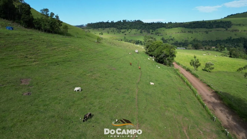 : 42ª foto da galeria de imagens do imóvel