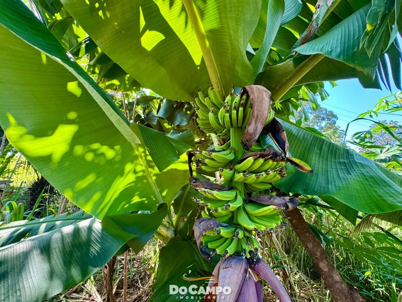 : 19ª foto da galeria de imagens do imóvel