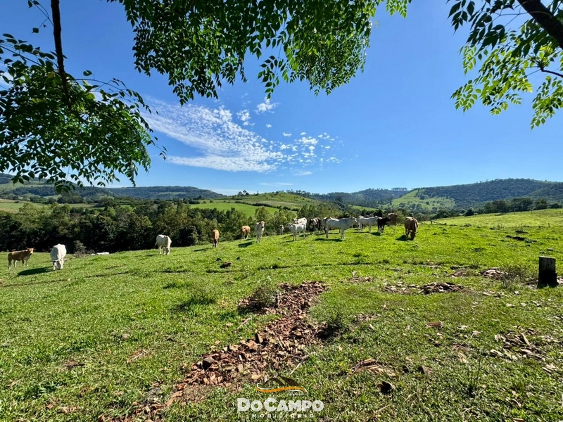 : 20ª foto da galeria de imagens do imóvel