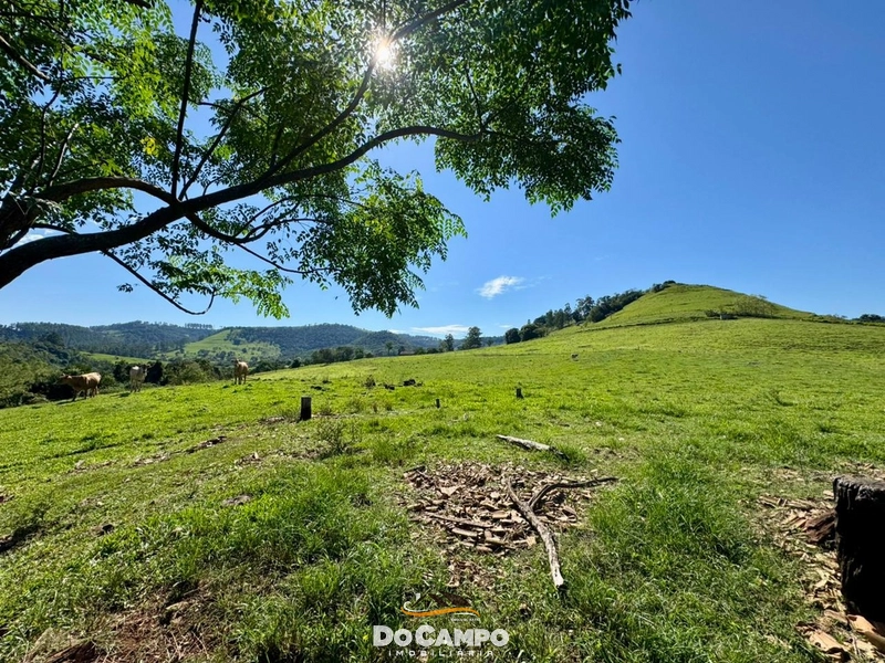 : 24ª foto da galeria de imagens do imóvel