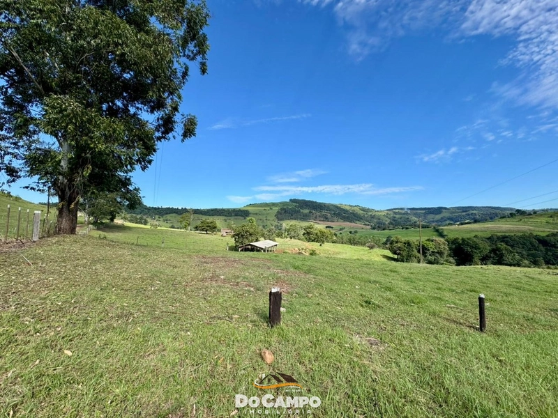 : 29ª foto da galeria de imagens do imóvel