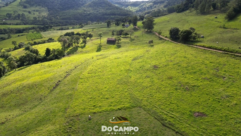 : 38ª foto da galeria de imagens do imóvel