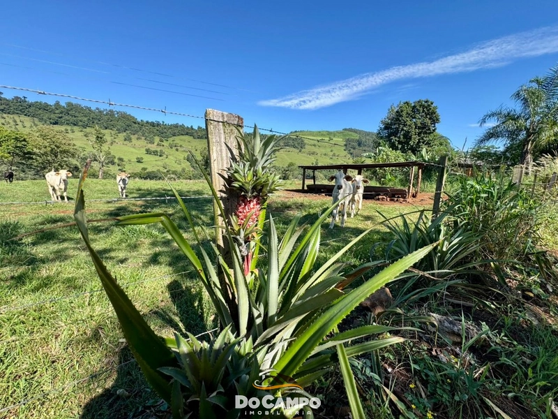 : 12ª foto da galeria de imagens do imóvel