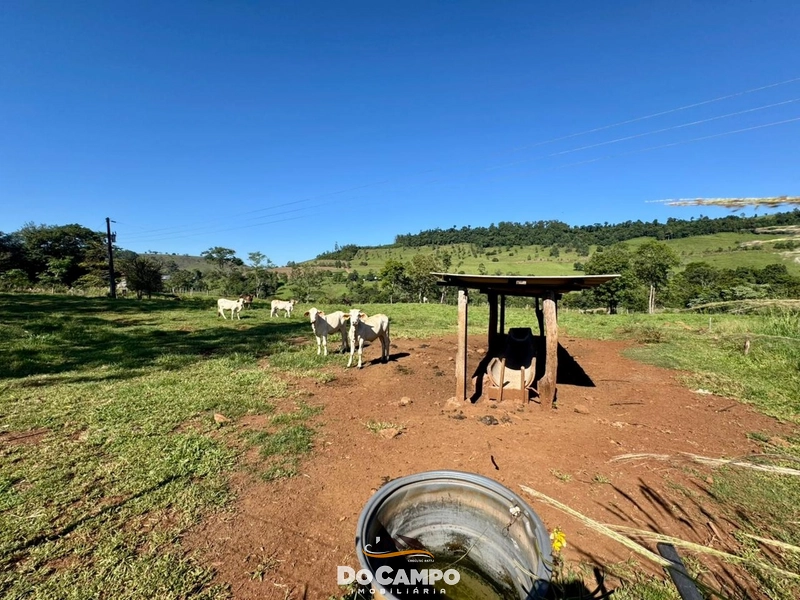 : 25ª foto da galeria de imagens do imóvel