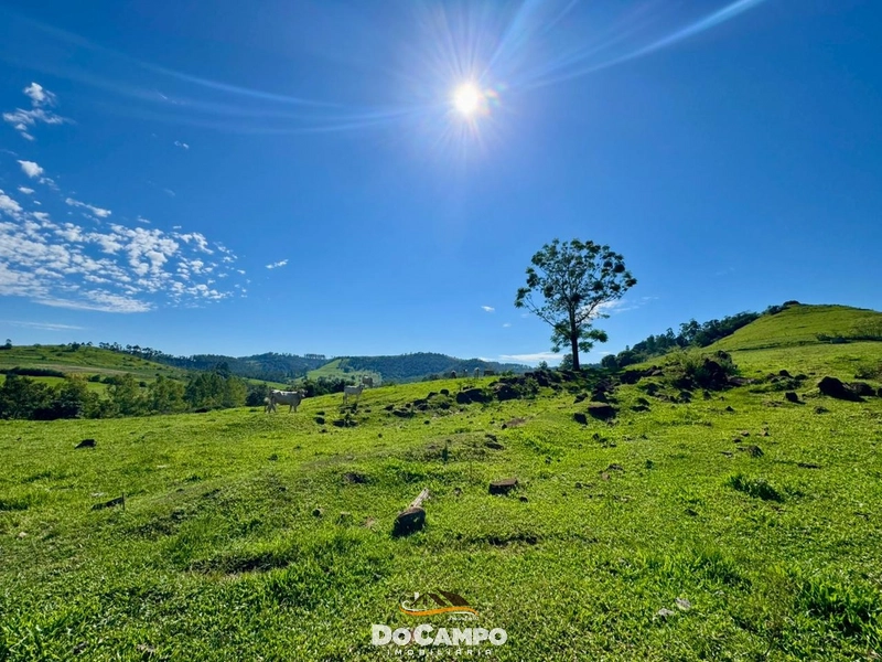 : 23ª foto da galeria de imagens do imóvel