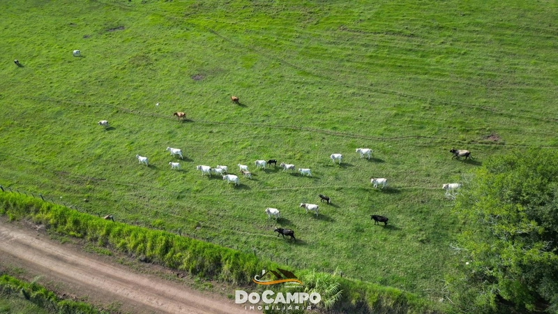 : 44ª foto da galeria de imagens do imóvel