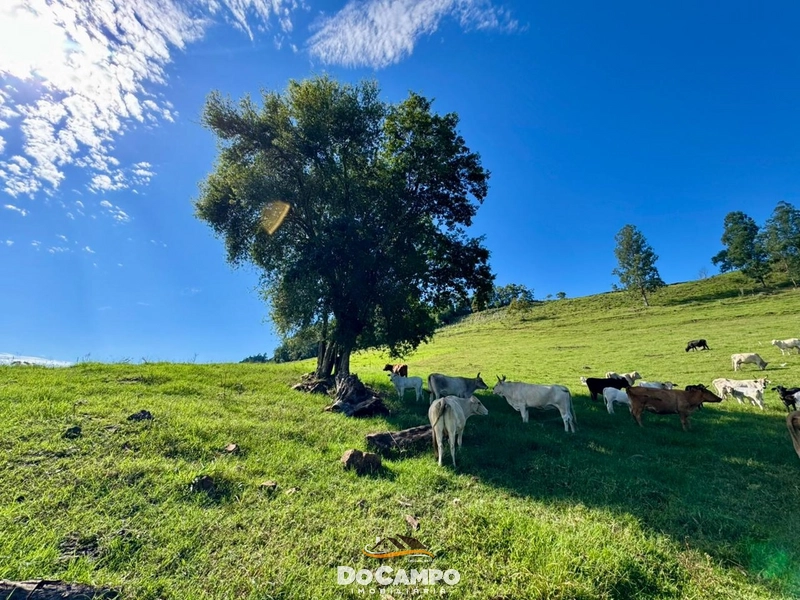 : 28ª foto da galeria de imagens do imóvel