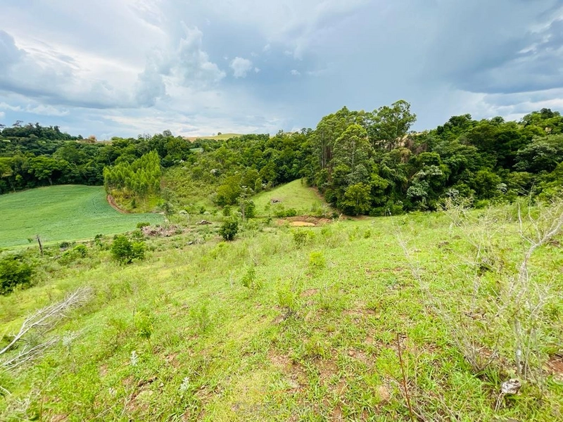 Área de terra na Linha Sanga Silva, próximo a ROTOPLAST.: 3ª foto da galeria de imagens do imóvel