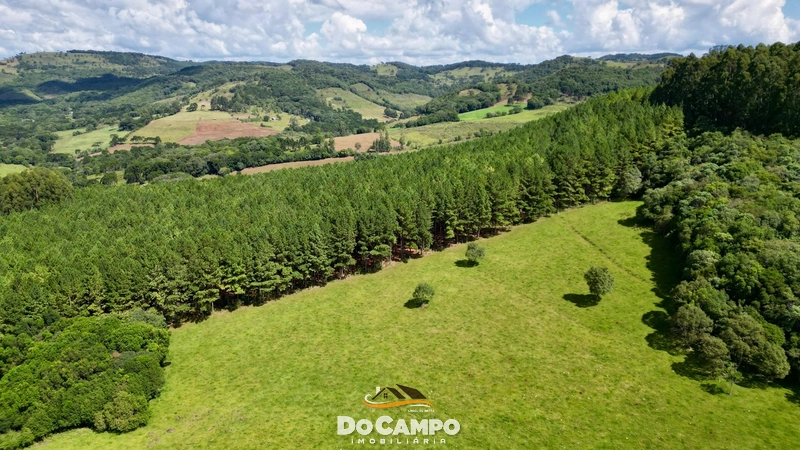 : 1ª foto da galeria de imagens do imóvel