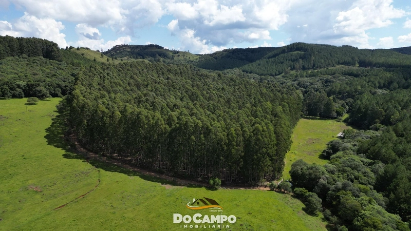 : 6ª foto da galeria de imagens do imóvel