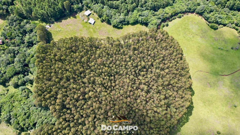 : 15ª foto da galeria de imagens do imóvel